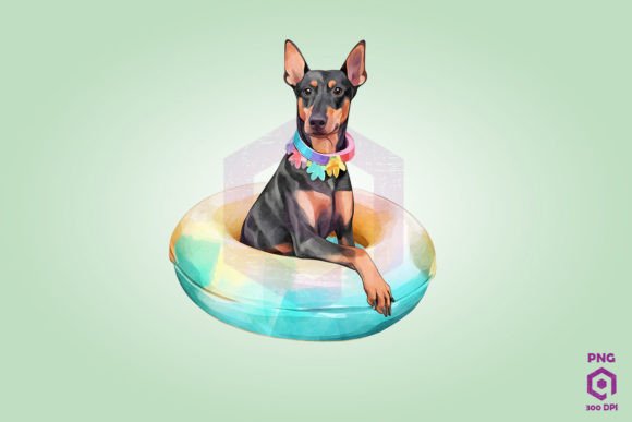 Doberman Pinscher Wearing Swim Float: A Design Review